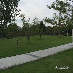 宁波停车收费标准(宁波日湖公园停车场免费吗)