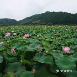 电话,地址,价格,营业时间 武夷山周边游 