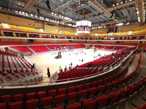 甘肃省体育馆正式开馆运营,国庆期间免费向公众开放
