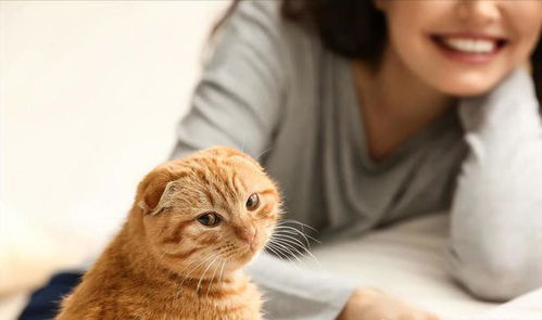 如果猫会说话,它最想让你知道的17件事