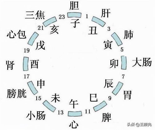 王麒先 2021辛丑年戊戌月 10月8日 11月7日 运势分析