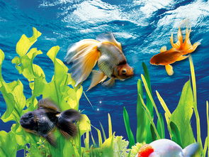 金鱼鱼缸3D玄关背景墙图片设计素材 高清psd模板下载 103.80MB 3D玄关大全 