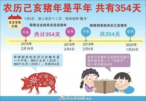 猪年354天鼠年384天,这算啥 2262年有两个春节 还有200多年,大家要努力活啊