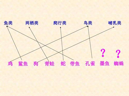 无脊椎动物分类示意图 图片搜索