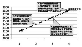 企业发行期权的实施方案