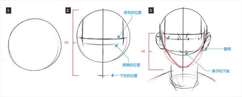 不同角度的动漫脸怎么画 动漫表情画法 线条 