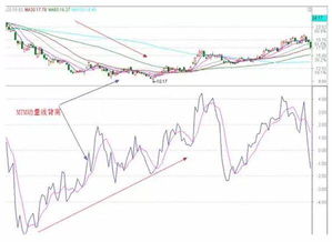 关于股票的问题，MTM指标后面的取值有啥意思？谁能帮我解答一下哈？