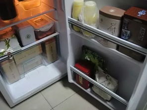 茶叶为什么能放在冰箱里