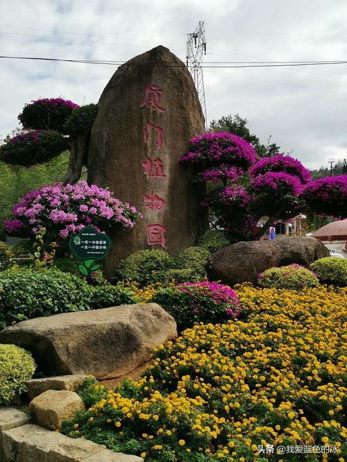 又到厦门的万石植物园,这里是许多本地人和外地游客来打卡的地方