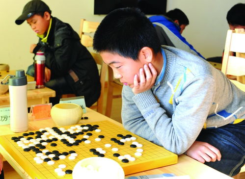 青岛***围棋比赛*名单,青岛市纵横杯围棋比赛何时举行?升段比例是多少?