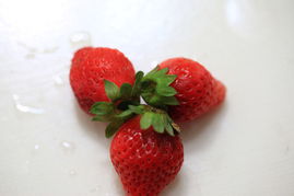 草莓 数字 健康 