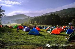 鸟巢宾馆免费住,涪陵武陵山凉快又好玩,约不约 