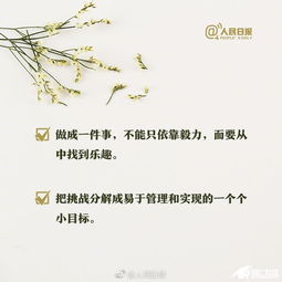 能拯救人生的,只有踏踏实实的努力 