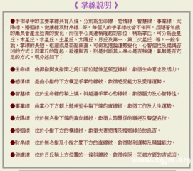 成涛掌相掌线说明