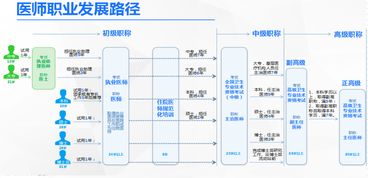 查重查方员职业发展路径解析