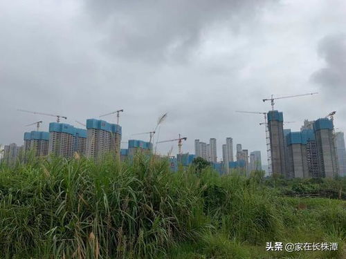 湖南省图书馆新馆地块最新实景拍摄 梅溪湖会成为下一个含浦吗