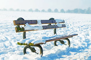 长凳,公园,雪,雪下了,季节,冷,冬天,背景,景观,自然,结构,圣诞节,白,温度,减号 