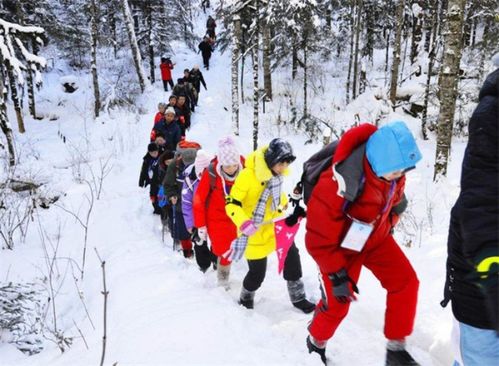 黑龙江冬季旅游十大玩法 嗨到你不想回家