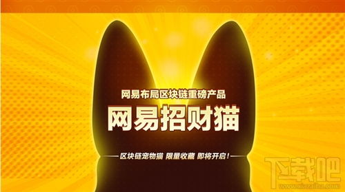 网易招财猫在哪买 购买地址 