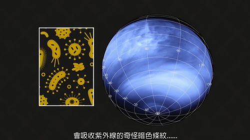 对行星金星的看法,你知道金星是一个怎样的星体吗？可以和大家说说吗？