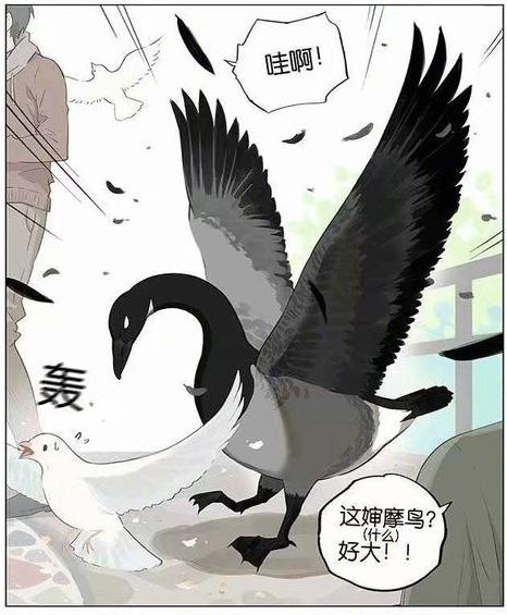 黑雁和小麻雀漫画 搜狗图片搜索