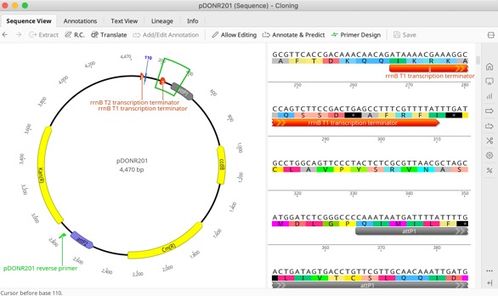 完整的分子生物学和序列分析工具套件