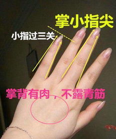 看你手指四指是否有缝隙,若没有,婚姻上注定是好女人或好男人 