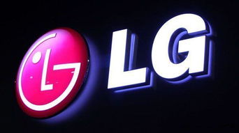 LG乐金显示(广州)有限公司地址