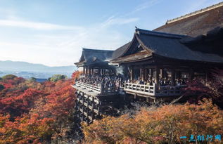 好玩的日本旅游景点排名 富士山排第二