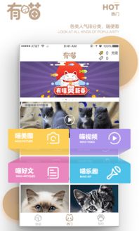 有喵云养猫软件下载 有喵云养猫appv1.0.0 安卓版 腾牛安卓网 