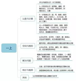 小数知识的内容