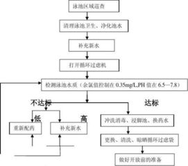 泳池管理叫什么？