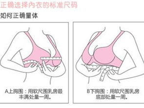 应该怎么测量胸围是正确的