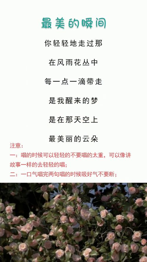 这歌唱进了多少人心里 最美的瞬间 零基础学唱歌 