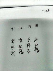 91年腊月十三凌晨两点左右出生,求大师看看是什么命 