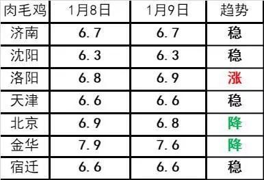 1月9日生猪 肉毛鸡 肉苗鸡价格走势