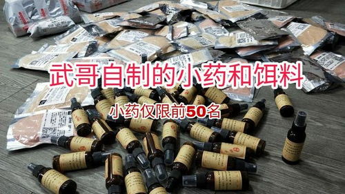 用长竿短线钓鱼,记住了这4点,恭喜你,离爆护已经不远了 