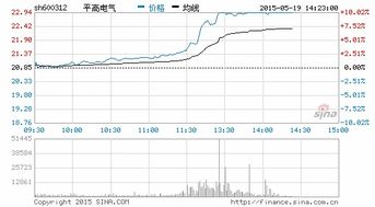 雪莱特和平高电气这两只股票怎么样？