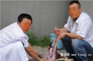 中国著名杀狗的事件(中国关于杀狗的法律)