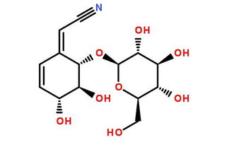 氰苷,与我们如影随形的隐形毒物