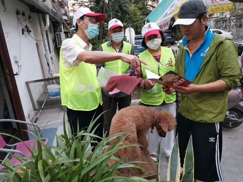 宁波6月1日养犬执法行动升级 排摸转入查处,这些场所成重点