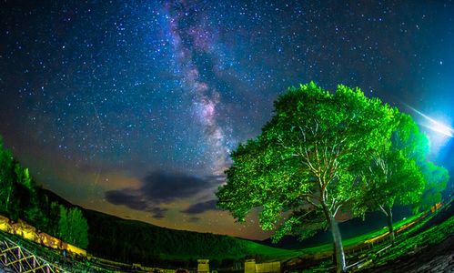 越喜欢你越假装淡定的星座,略显 闷骚, 从来不会主动