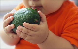 宝宝辅食只吃水果不爱吃别的，怎么办？