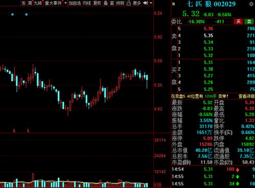 持有公司6%的股份概念是怎样的？