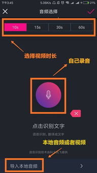 抖音这个配音,字幕动画用什么软件做的 