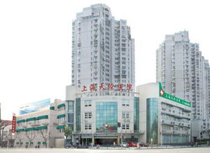 天伦医院(上海天伦医院是公立还是私立医院)