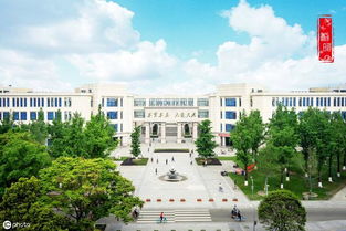 四川大学和中南大学哪个好(四川大学的王牌专业是什么 哪个专业最好)