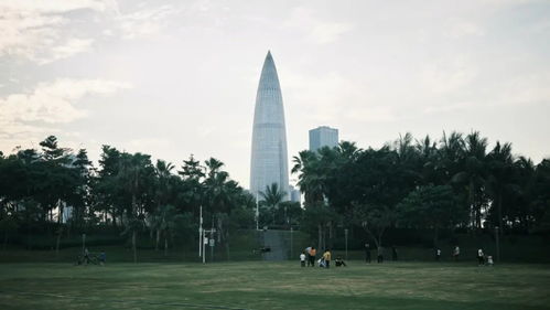 深圳南山,历史文明与现代科技交相辉映的地方