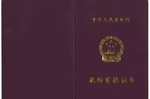 中国教育网官方网站教师资格证 (中国教育网官方网站教师资格证打印准考证)