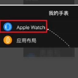 手机刷机了,怎么重新配对iwatch 